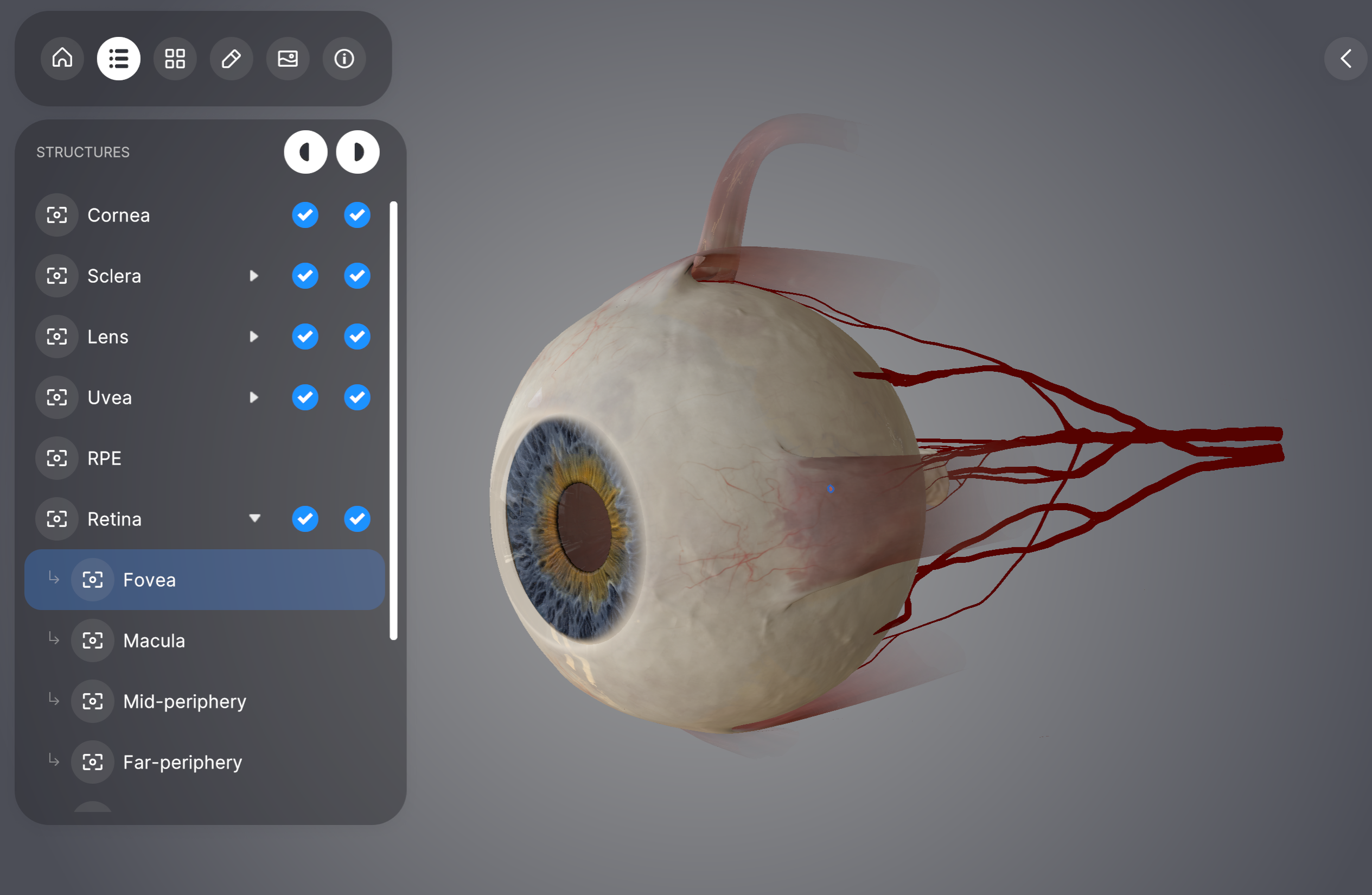 Perfect Eye image 2